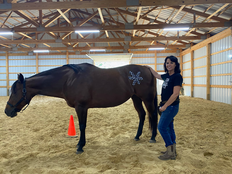 Horse taping specialist in Northwest Ohio