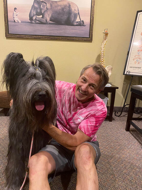 Dog Chiropractor in Toledo and Northwest Ohio